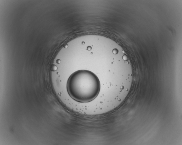 X0000111860562200907231133