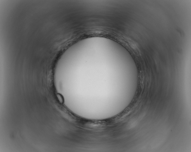 X0000111860563200907231133