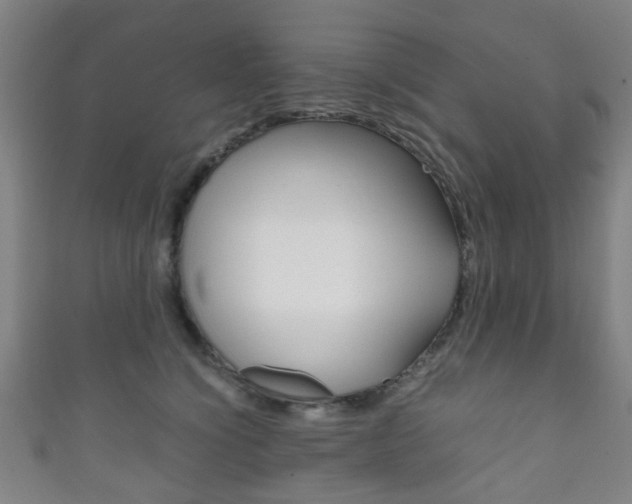 X0000111860564200907231133
