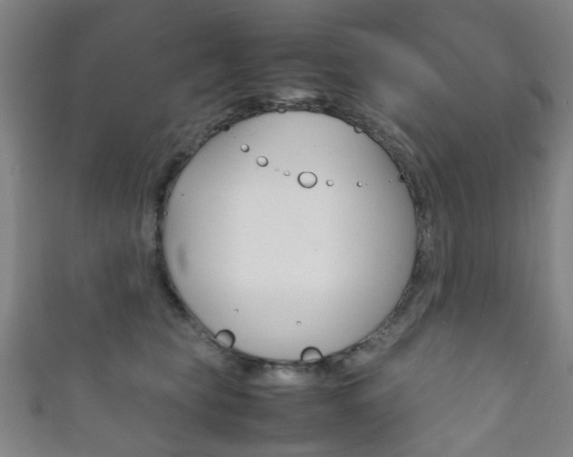 X0000111860565200907231133