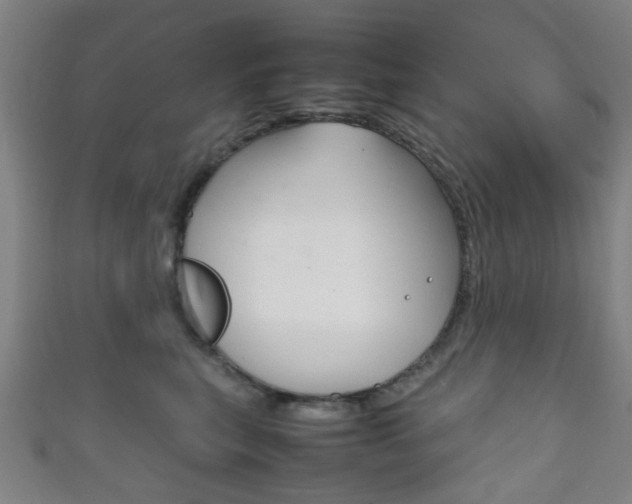 X0000111860567200907231133