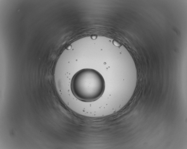 X0000111860568200907231133