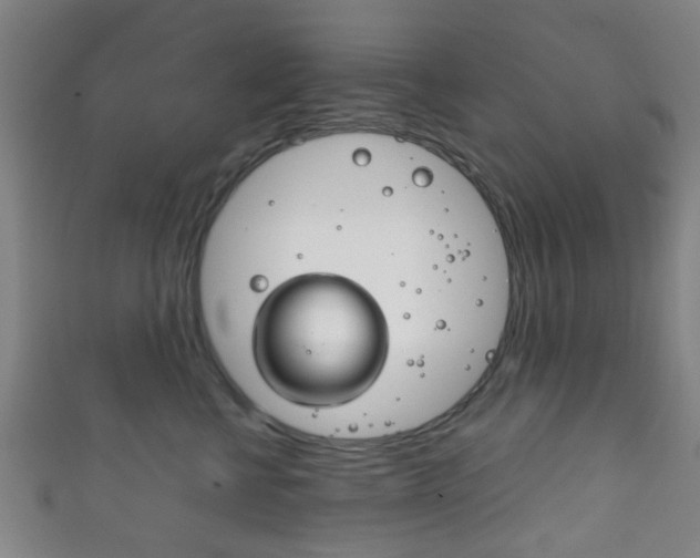 X0000111860570200907231133