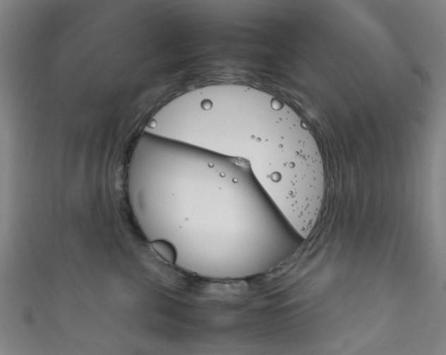 X0000111860571200907231133