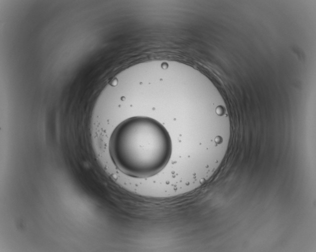 X0000111860572200907231133