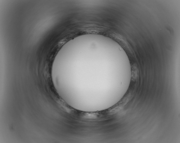 X0000111860573200907231133