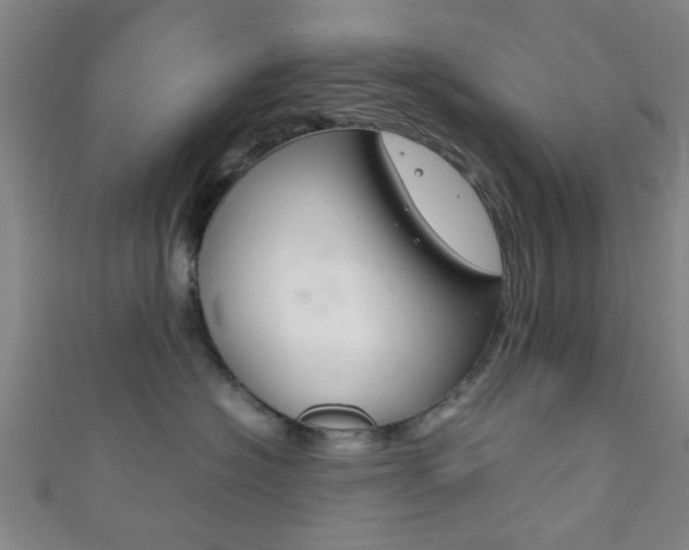 X0000111860574200907231133