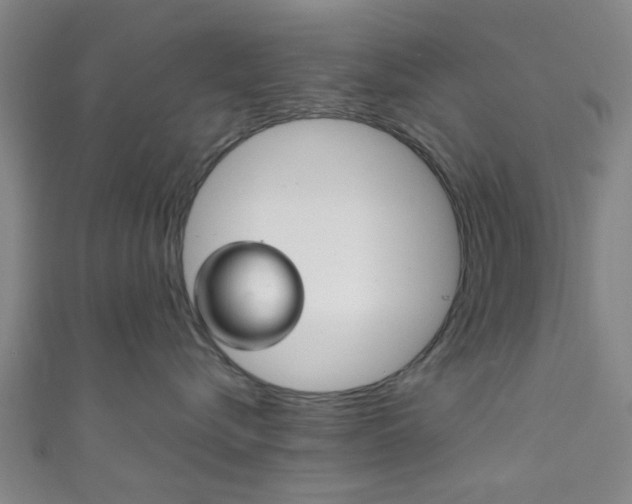 X0000111860576200907231133