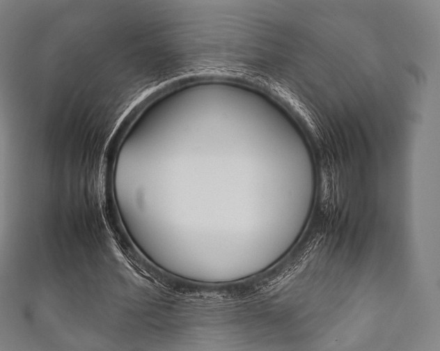 X0000111860580200907231132