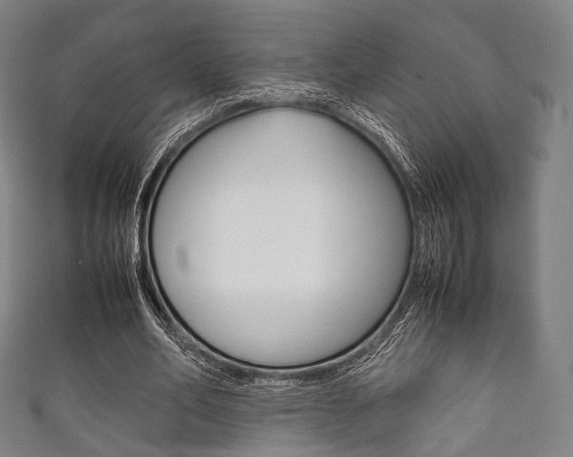 X0000111860582200907231132