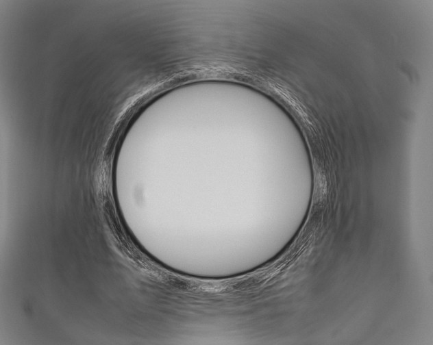 X0000111860583200907231132