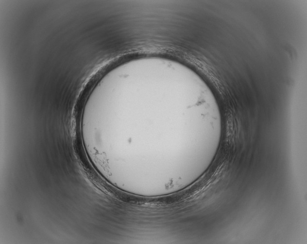 X0000111860584200907231132