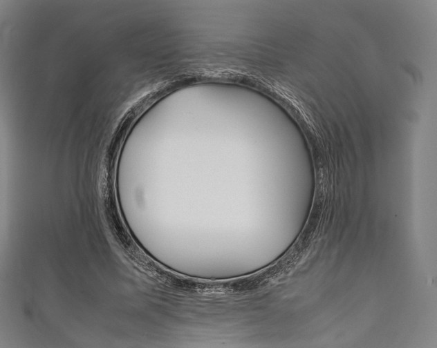 X0000111860587200907231132