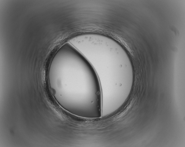 X0000111860589200907231132