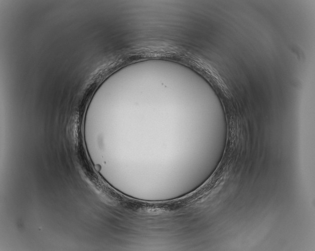 X0000111860590200907231132