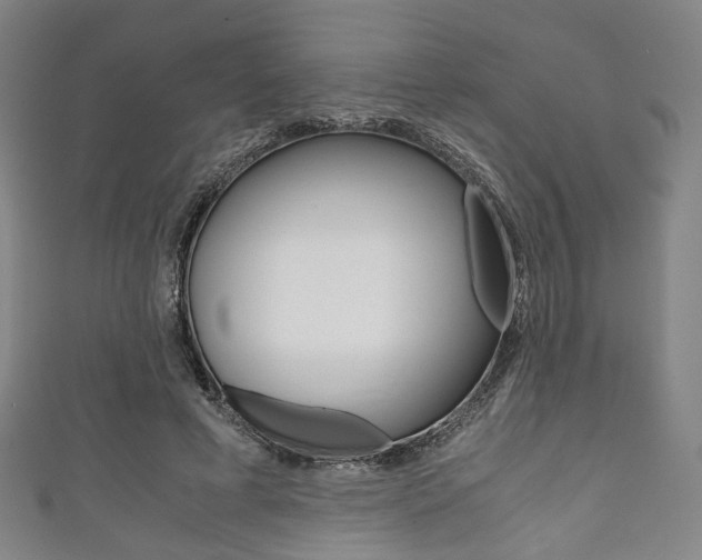 X0000111860593200907231132