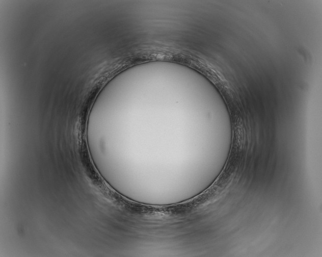 X0000111860594200907231132
