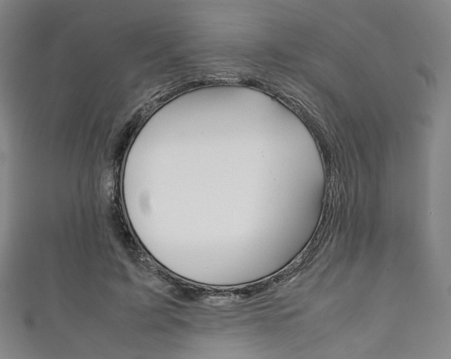 X0000111860595200907231132