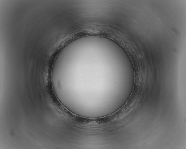 X0000111860600200907231132