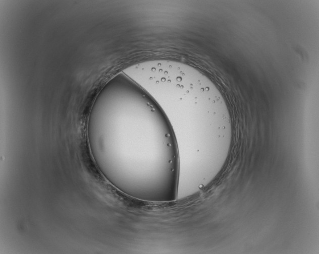 X0000111860601200907231132