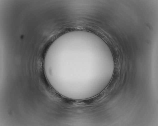 X0000111860603200907231132