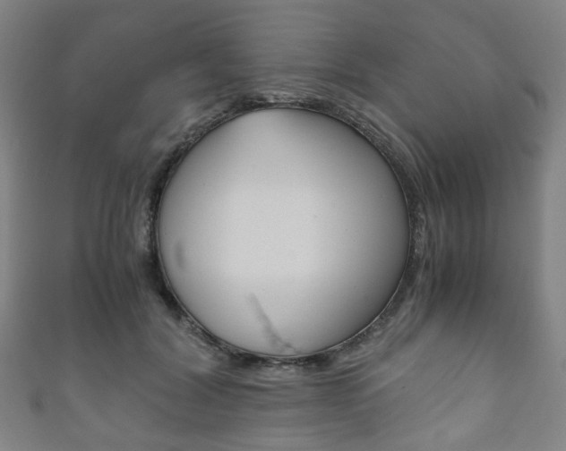 X0000111860604200907231132