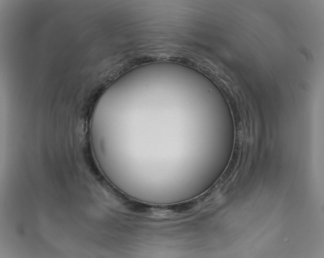 X0000111860605200907231132