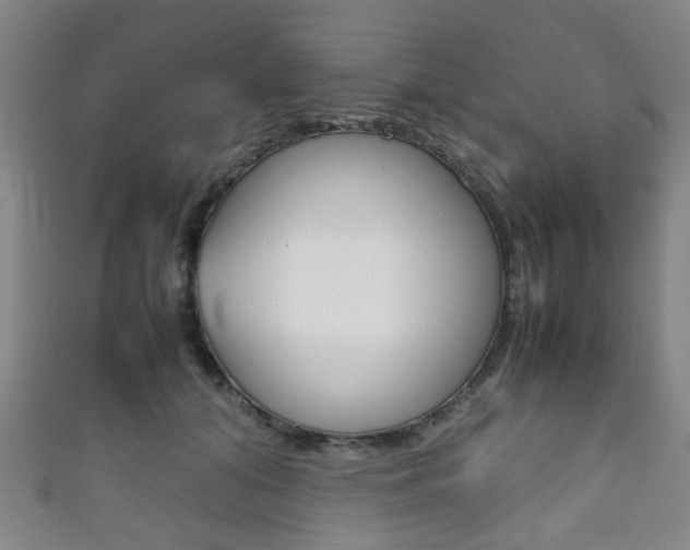 X0000111860608200907231132