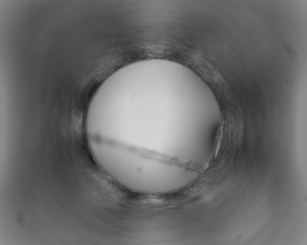X0000111860610200907231132