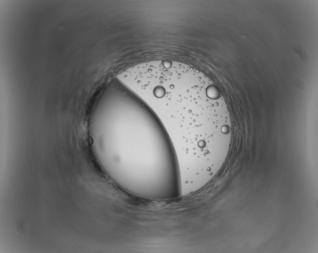 X0000111860613200907231132