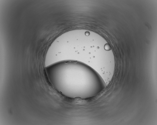 X0000111860617200907231132