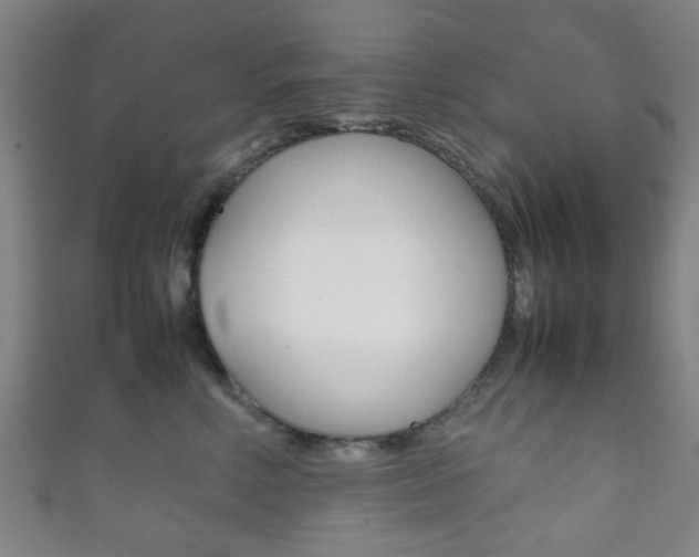 X0000111860618200907231132