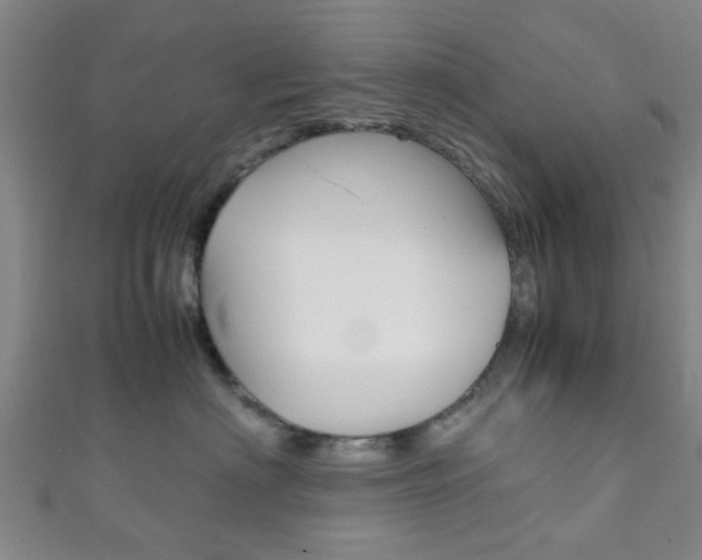 X0000111860622200907231132