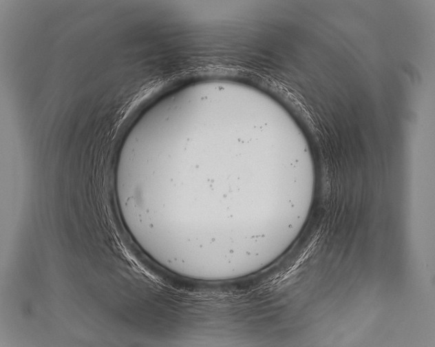 X0000111860625200907231131