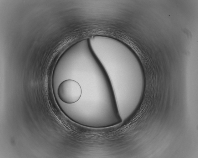 X0000111860626200907231131