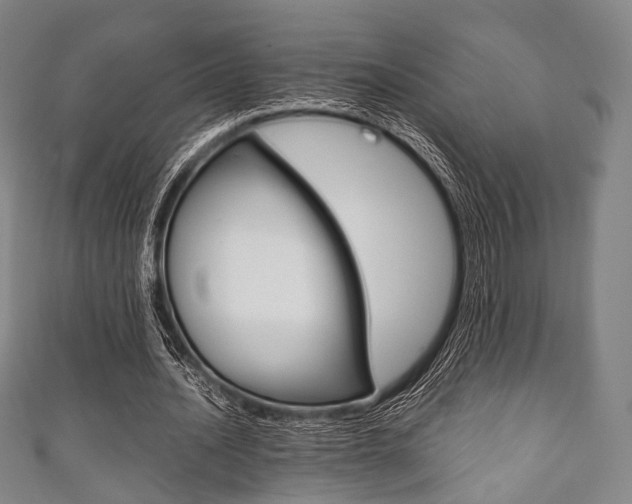 X0000111860628200907231131