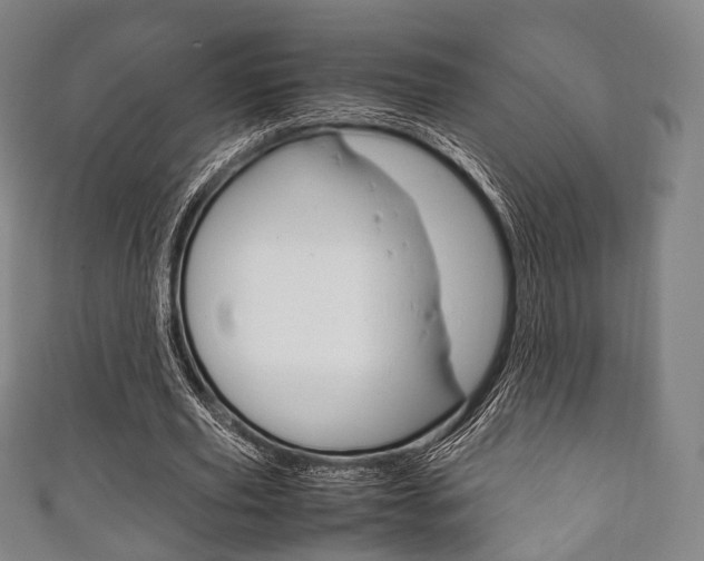 X0000111860629200907231131