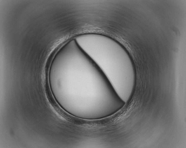 X0000111860630200907231131