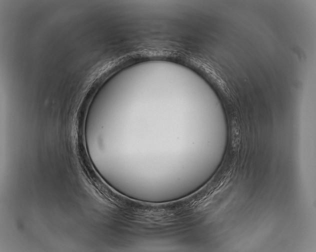 X0000111860631200907231131