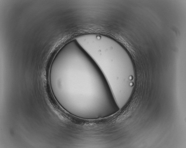 X0000111860634200907231131
