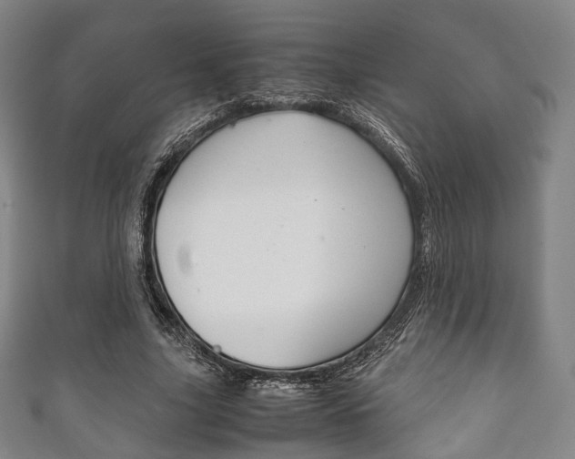 X0000111860635200907231131