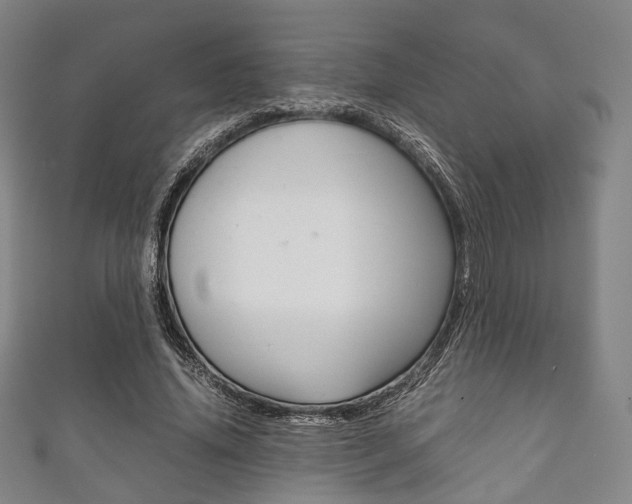 X0000111860636200907231131