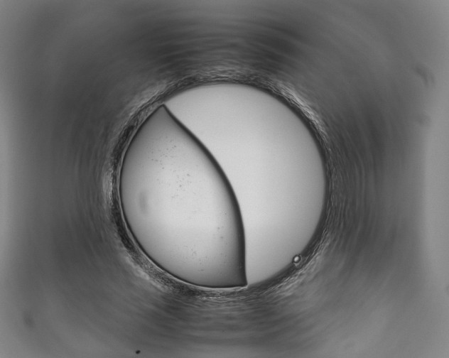 X0000111860637200907231131