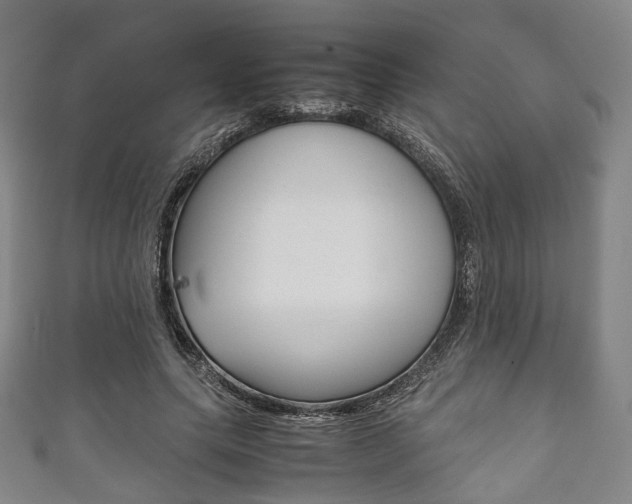 X0000111860639200907231131