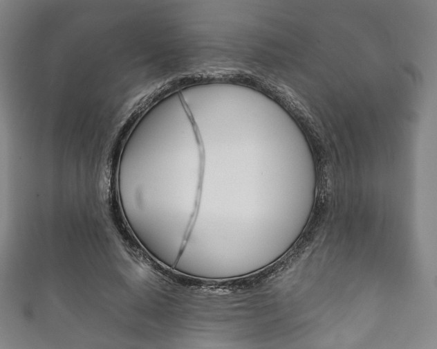 X0000111860640200907231131