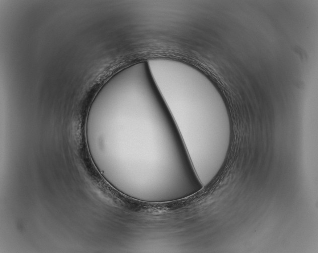 X0000111860642200907231131