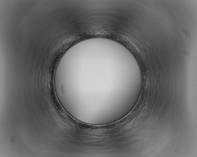 X0000111860643200907231131