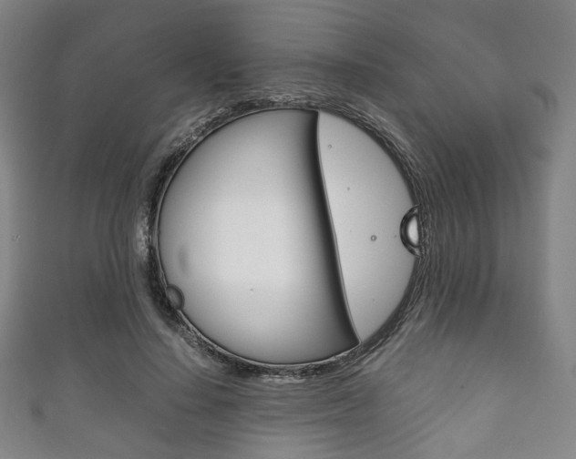 X0000111860644200907231131