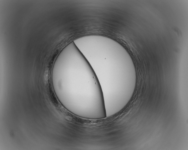 X0000111860647200907231131