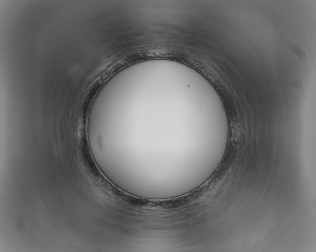 X0000111860648200907231131